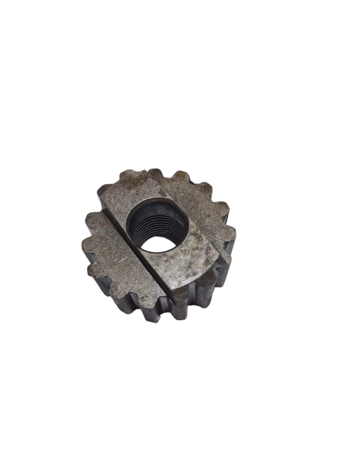 FERMO 300015204