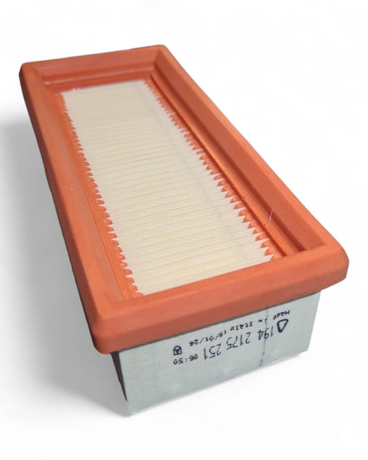 Cartuccia Filtro Aria Originale Lombardini - Codice 2175251